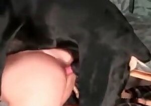 Animal Sex with Girls